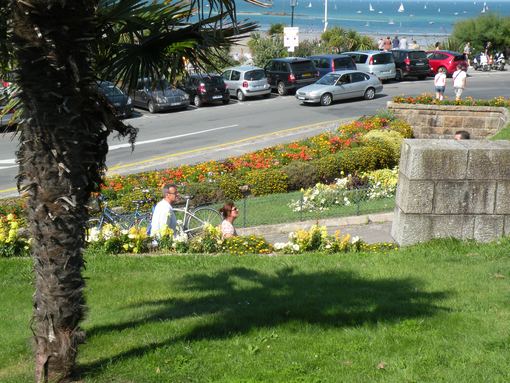  parterre de fleurs